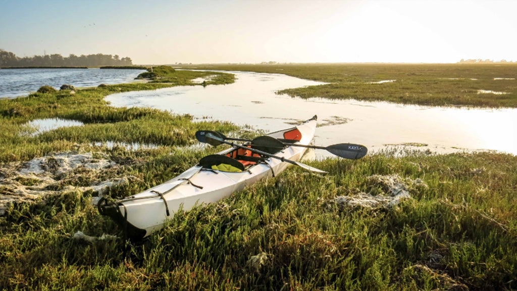 Haven Explorer Bundle